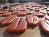 傳統烏魚子 雲林 口湖 烏魚子 製作烏魚子 烏魚子禮盒 捕獲烏魚 曬烏魚子